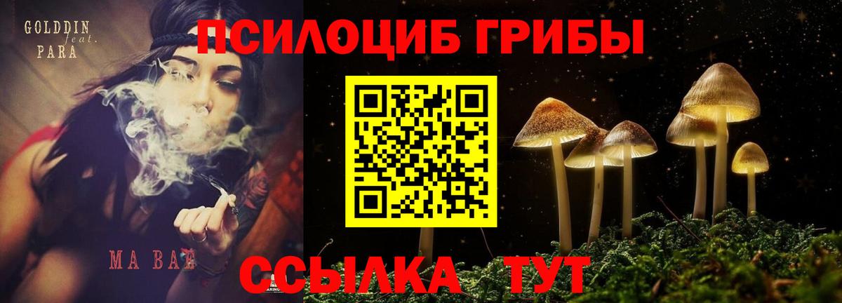 Волжский  Псилоцибиновые грибы ЛСД  Вход с VPN 